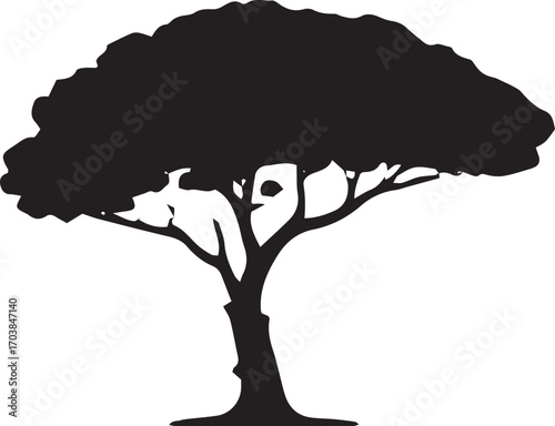 Silhouette of a large spreading tree with a dense canopy and visible branches