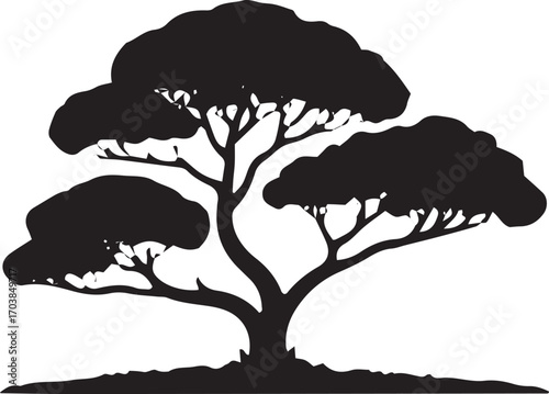 Silhouette of a majestic acacia tree with lush green foliage and a sturdy trunk