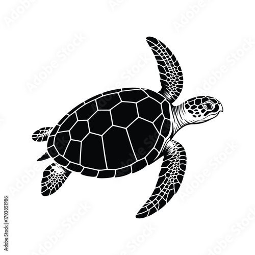 Sea Turtle Silhouette Illustration of a Marine Animal Swimming in the Ocean Depths