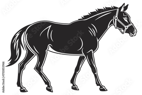 Elegant black horse silhouette with bridle