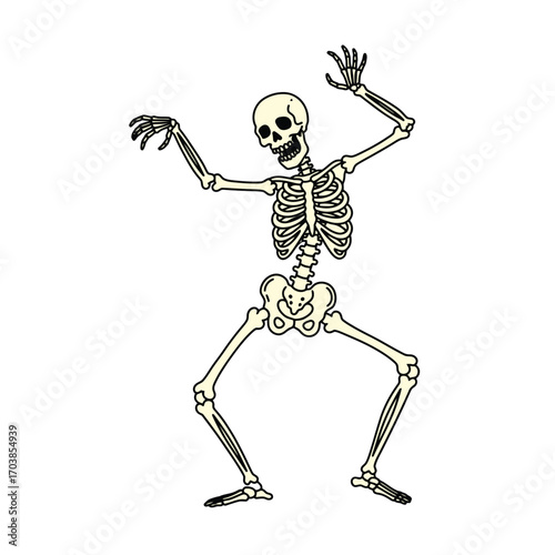 Cartoon vector of a dancing skeleton in playful Halloween style, isolated on white.
