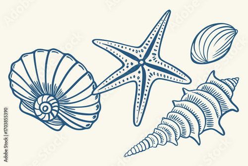 Blue line art seashells and starfish collection on cream background