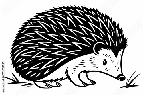 Cute black and white hedgehog illustration