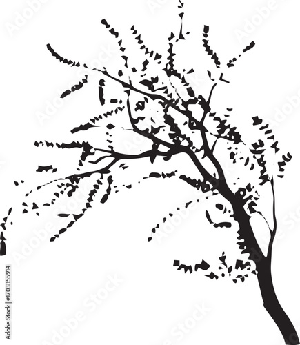 Silhouette of a delicate tree with sparse branches and small leaves against a plain backdrop