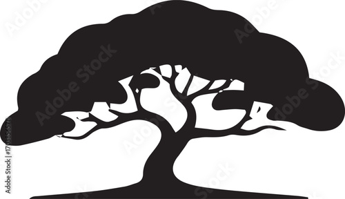 Majestic silhouette of a mature tree with spreading branches and lush foliage