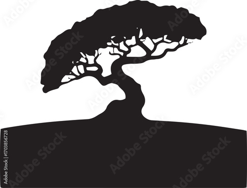 Silhouette of a majestic bonsai tree with a curved trunk on a subtle mound
