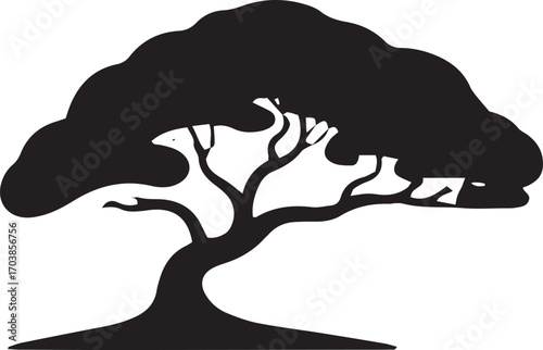 Silhouette of a majestic bonsai tree with spreading branches and dense foliage