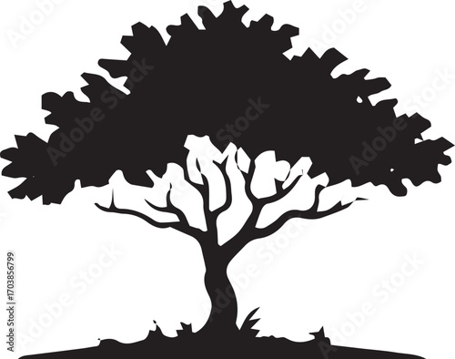 Silhouette of a majestic mature tree with sprawling branches and lush canopy symbolizing nature and growth