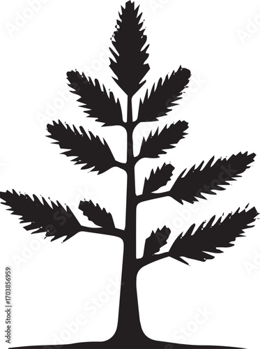 Silhouette of a pine tree with detailed branches and needles against a