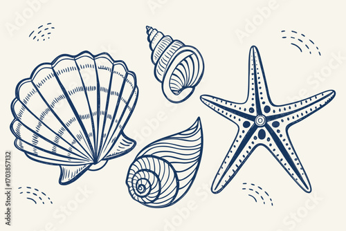 Hand drawn nautical shells and starfish illustration