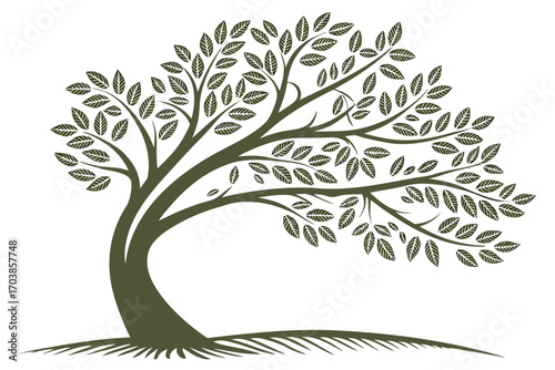 Stylized olive tree silhouette with detailed leaves and roots