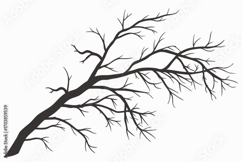Silhouette of a bare tree branch against a white background