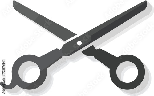 Pair of metal scissors for cutting and grooming on white surface