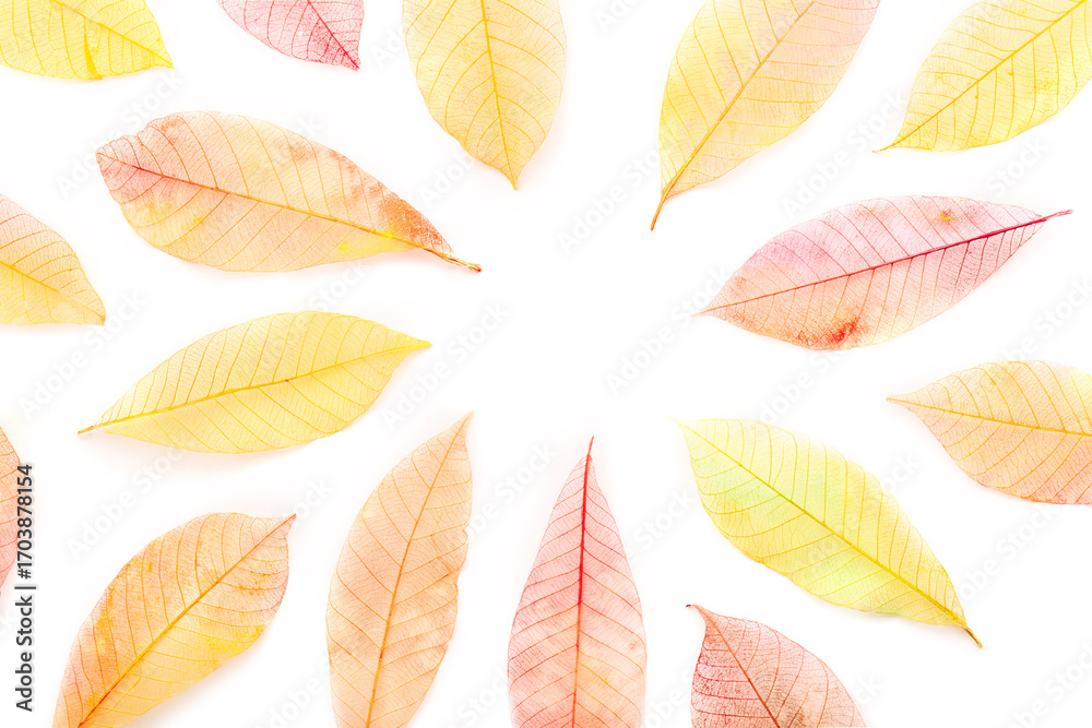 Obraz premium Autumn leaves frame on a white background. Painted skeleton leaves with copy space. Fall banner