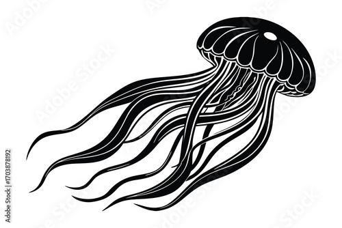 Intricate black and white illustration of a jellyfish with flowing tentacles against a white background