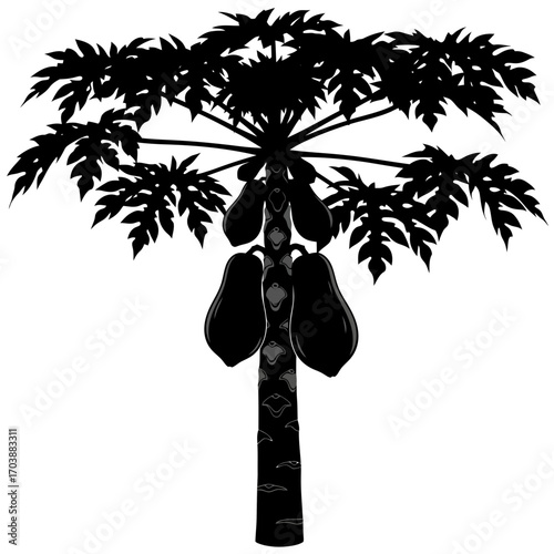 Silhouette of a papaya tree with ripe fruits and large leaves