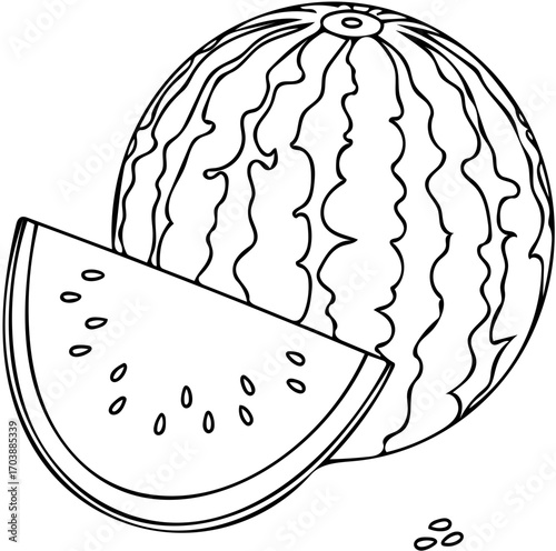 vector illustration of an 
Watermelon