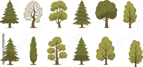 Cartoon forest trees collection, hand drawn nature plants, eco friendly green foliage, garden landscape elements, cad drawing flat vector illustration