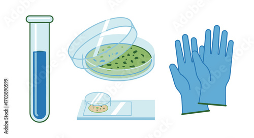 Science Laboratory Equipment Set with Test Tube and Petri Dish. Vector Illustrations. EPS Editable