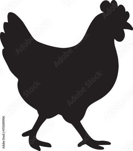 Chicken walking silhouette, farm bird vector, domestic poultry illustration design.