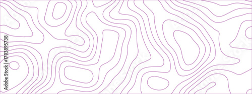 Topographic contours map background. geography map grid abstract backdrop. white wave paper curved reliefs design. seamless pattern with flowing wavy lines.