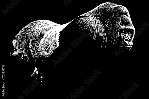 black and white contour of a gorilla