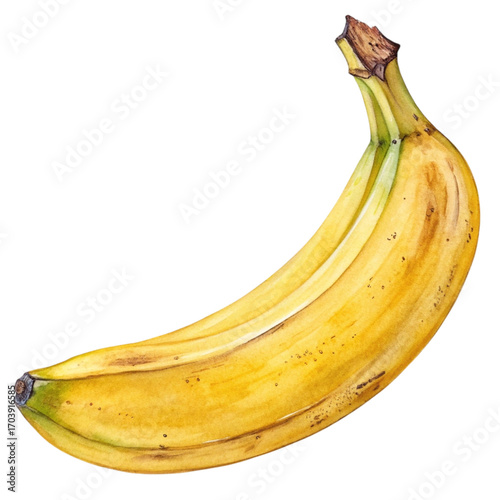 Two ripe yellow bananas isolated on white background