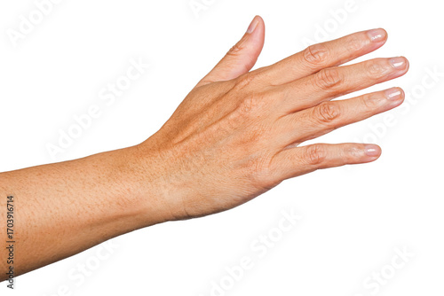 hand touch something, hand gesture or finger gesture, hand sign isolated on transparent background