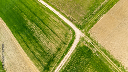 Aerial view of a crossroads in a lush green field, showcasing vibrant agricultural land divided by dirt paths under a clear blue sky. Ideal for landscape and nature themes.