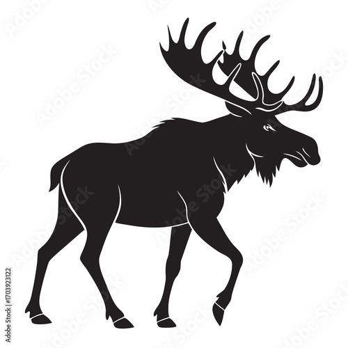 Majestic silhouette of a large bull moose with antlers walking confidently against a white background