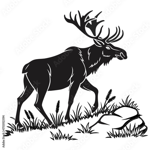 Majestic black silhouette of a large bull moose with impressive antlers walking through tall grass and rocks in a natural outdoor environment
