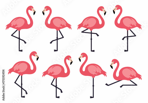 Pink Flamingo Illustrations Set: Various Poses of Tropical Birds, Ideal for Summer, Wildlife, and Exotic Design Projects on White Background