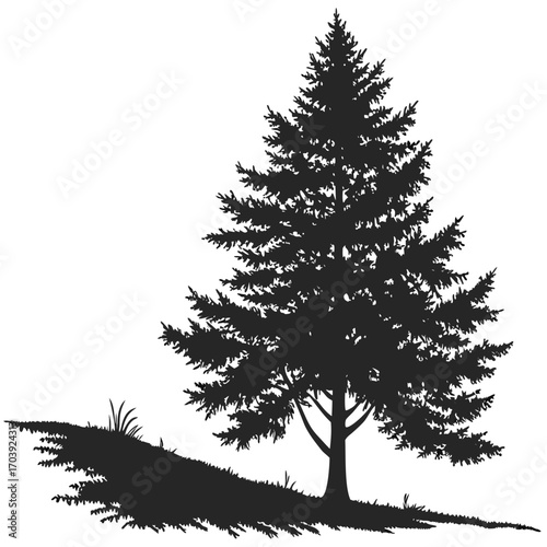 A solitary evergreen tree silhouette stands tall on a grassy incline with a distinct shadow against a clean white background