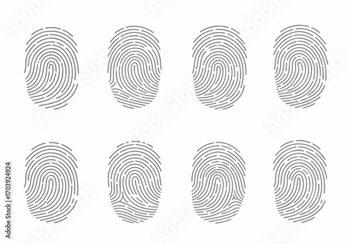 Collection of Eight Unique Fingerprint Patterns for Biometric Identification and Security