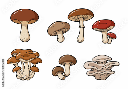 Diverse Cartoon Mushroom Collection: Various Edible and Wild Fungi Illustrations on White Background, Perfect for Nature and Food Designs.