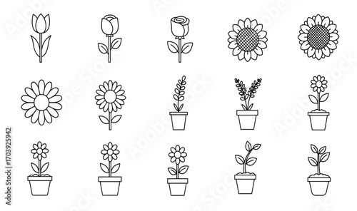 A collection of simple, minimalist flower icons and illustrations in black and white, showcasing various floral species in a clear, graphic style for design use.