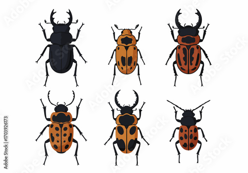 Collection of diverse beetle vector illustrations, featuring stag beetles and spotted insects on a clean white background.