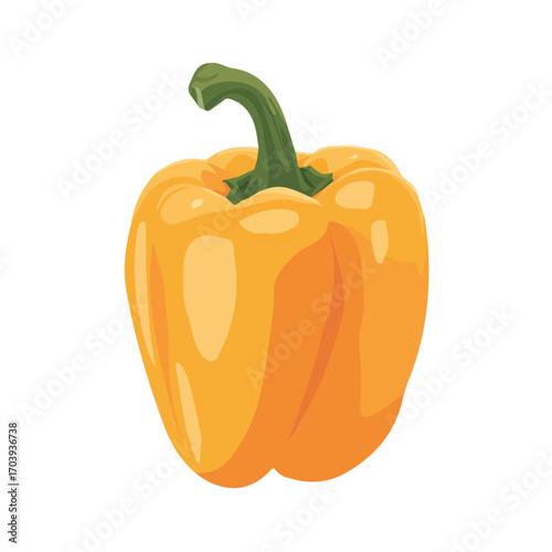 Flat 2D Bell Pepper vector illustration, icon graphic on white background