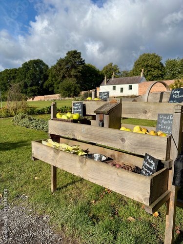 Fotografía A rustic wooden farm stand displays fresh apples, corn, and garden produce under natural sunlight