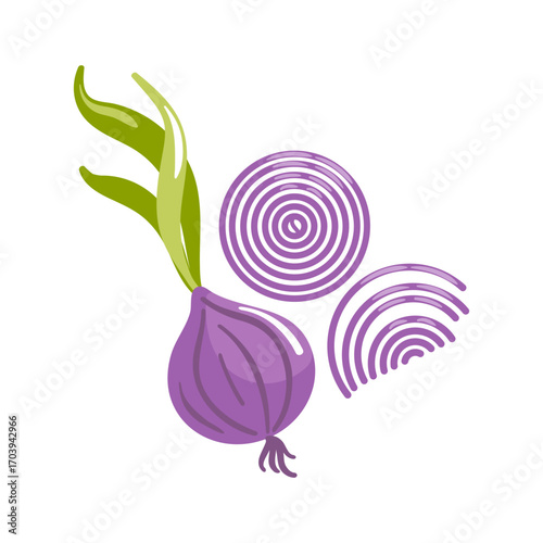 a vector illustration of a purple onion with glossy skin, layered texture, subtle shading, and bold clean lines for a modern, vibrant food graphic.