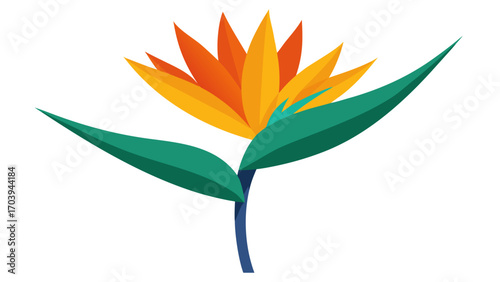 Bird of Paradise Flower Orange Yellow Green Vector Illustration