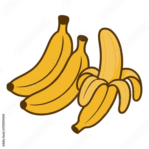 Bananas fruit bunch illustration