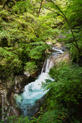 Nishizawa Gorge in Yamanashi Prefecture, in Japan. A famous location for hiking along the river  and very popular during the autumn season.