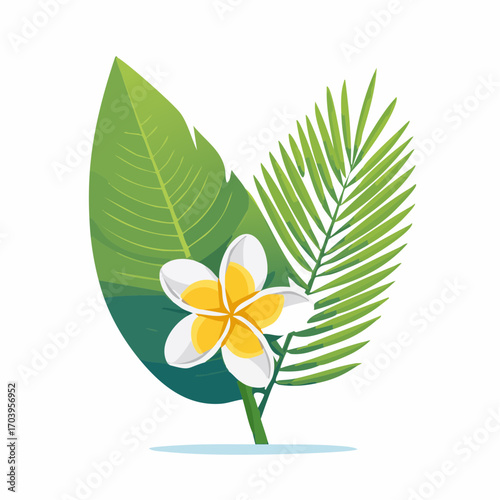 White and Yellow Plumeria Flower with Tropical Leaves