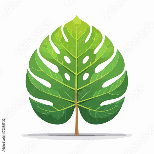 Vibrant Green Monstera Leaf on White Background