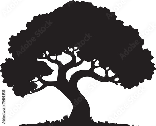 Majestic silhouette of an ancient oak tree with spreading branches and detailed foliage