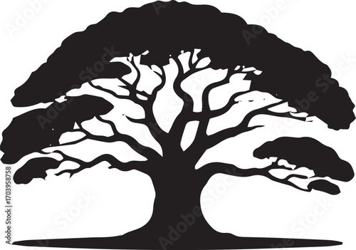 Majestic silhouette of an ancient tree with spreading branches and dense foliage