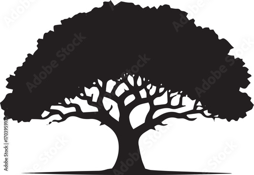 Silhouette of a majestic large deciduous tree with intricate branches and a full canopy