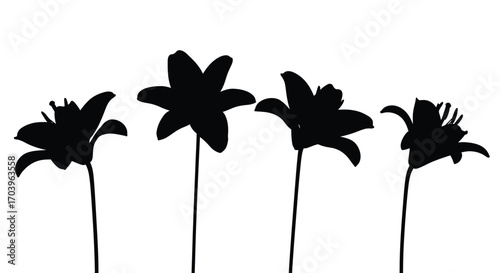 Four silhouetted lily flowers blooming on thin stems against a vector