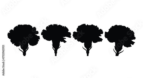 Four silhouette flowers with delicate stem details for decorative design and botanical art vector